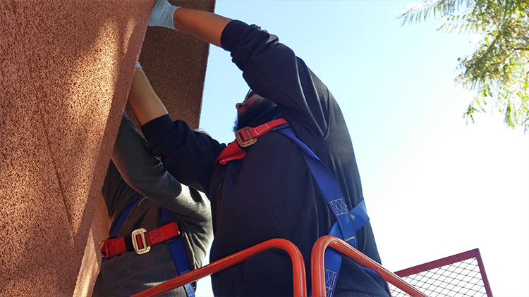 Students install cameras and nesting equipment