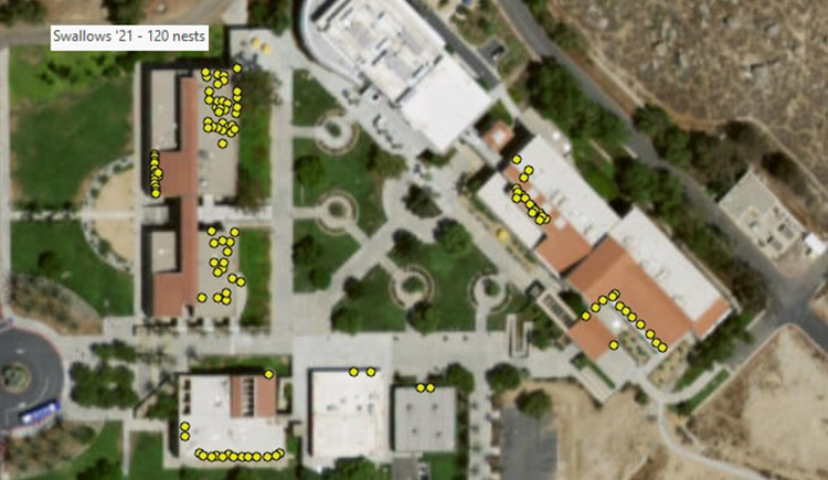 Swallow Nesting Map, 2021