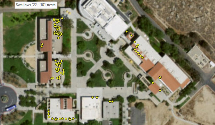 Swallow Nesting Map, 2022