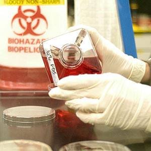 A scientist handles chemicals while wearing gloves