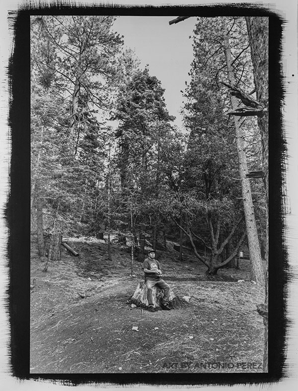 Unión, 2026, by Antonio Perez, a palladium and platinum print showing a person in a forest