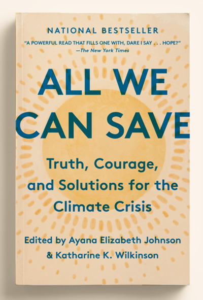 All We Can Save book cover