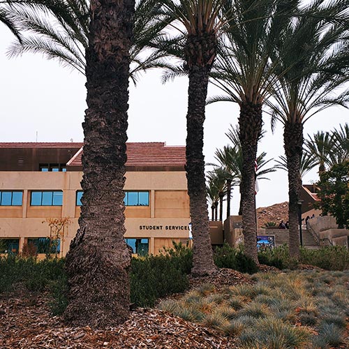 Photo of campus featuring palm trees in front of the student services building