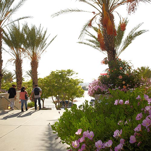 Photo of campus featuring students walking down the steps at the front of MVC