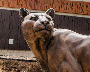 Cast bronze statue of mountain lion