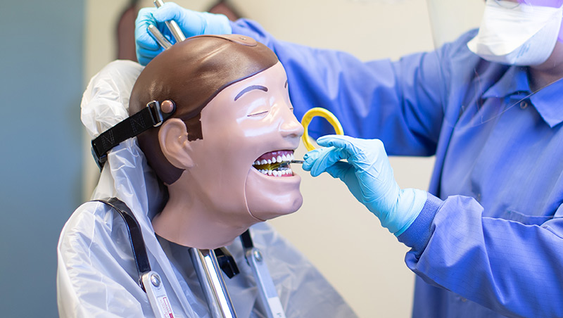 A dental assisting student practices using a dental dummy