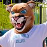 Monty the Mountain Lion photo