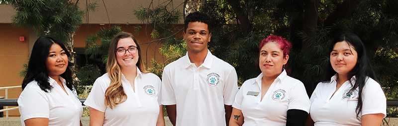 ASMVC Executive Cabinet