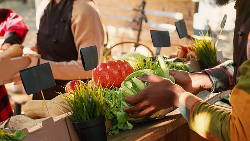 A group of people shop at a farmer's markets stand covered in fresh produce and plants